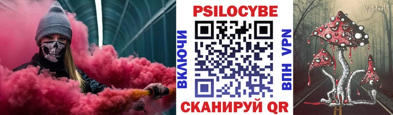 Купить  Спас-Клепики  Галлюциногенные грибы Psilocybe 